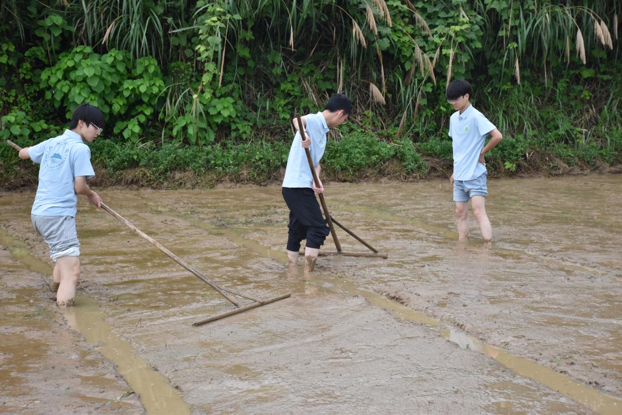 a5a478433ca09aad0edddcd6ae24b054 a5a478433ca09aad0edddcd6ae24b054