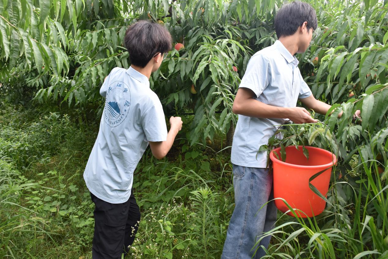 3f2b75e0e75901f154efe65e94ada438 3f2b75e0e75901f154efe65e94ada438